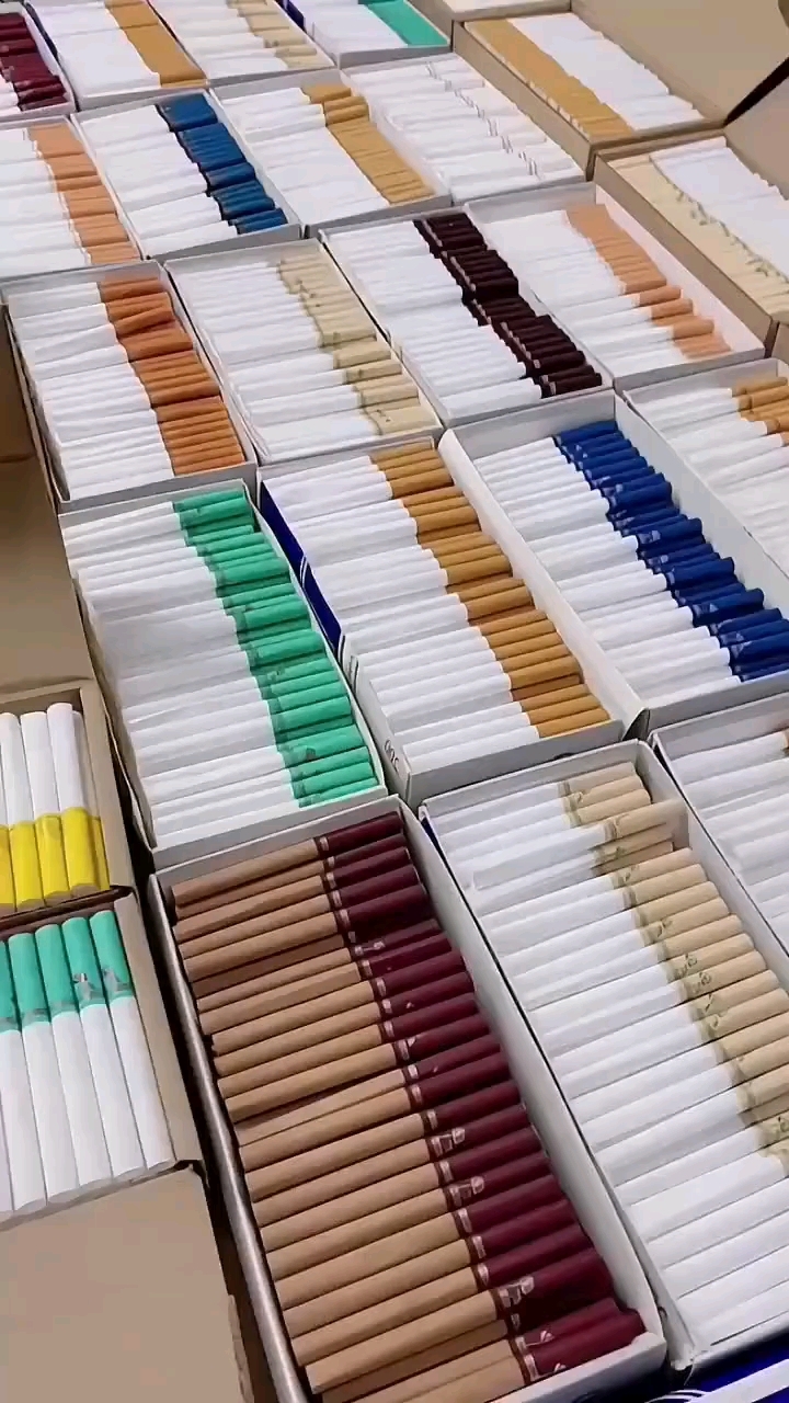 空烟管 卷烟爱好者的理想选择