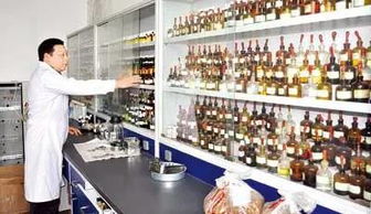 卷烟行业品牌建设的创新与品类构建路径探索